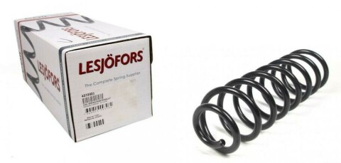 Пружина (задня) Renault Megane II 1.4-2.0/1.5dCi/1.9dCi/2.0dCi 02-08 (нах.зад.частина) (5 дверей)