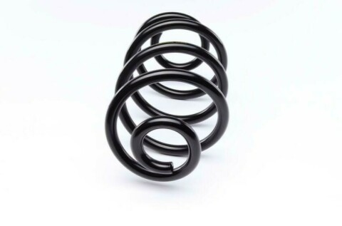 Пружина (задняя) Renault Clio III/Modus 1.2-2.0 16V/1.5dCi 04- (универсал/нах.зад.часть)