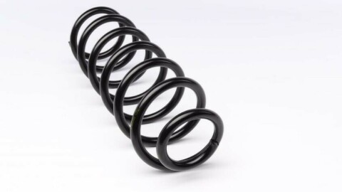Пружина (задня) Renault Megane III Grandtour 1.2-1.4TCe/2.0TCe/1.5-1.9dCi/1.6 16V 08- (універсал)