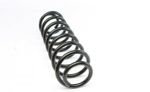Пружина (задняя) Skoda Fabia I/II Combi 1.2-2.0/1.4-1.9TDI/1.2TSI/1.9SDI 00-14 (универсал)