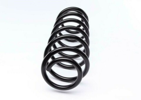 Пружина (задняя) VW Polo 1.2-1.4/1.4-1.9TDI 01-09/Skoda Fabia 1.0-1.2TSI/1.2-1.4TDI 07- (накл.с.ч)