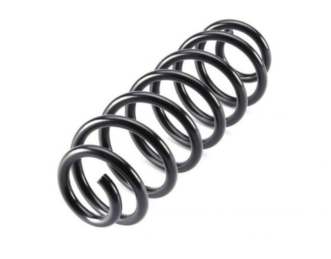 Пружина (задня) VW Passat B6 1.4-1.8TSI/1.9-2.0TDI 05-10 (седан/унив.)/Tiguan 2.0TDI/TSI 4mot.07-18