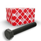 Болт колінвалу VW Golf/ Jetta/ Passat/ Polo (M10) Болт колінвалу VW Golf/ Jetta/ Passat/ Polo (M10)