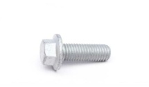 Болт рычага (переднего) Peugeot Partner 1.4/1.8/1.9D 96-15 (M10x1.5)