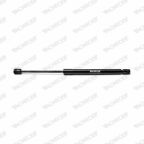 Амортизатор газовий багажн. i20 08-