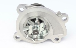 Помпа води Renault Clio/Scenic/Megane/Kangoo/Nissan Qashqai/Juke 0.9-1.2-1.4TCe/1.6 09- (B/B)(8 лоп)