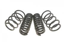 Комплект пружин (Pro-Kit) BMW X1 (E84) 09-15 (4 шт.) (для авт. без рег. взр. просвета) Комплект пружин (Pro-Kit) BMW X1 (E84) 09-15 (4 шт.) (для авт. без рег. взр. просвета)