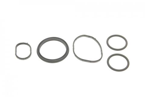 Прокладка термостата Hyundai ix35/Santa Fe/Kia Sorento 2.4 09-(к-кт)