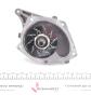 Комплект ГРМ + помпа Renault Kangoo 1.5dCi 01- (123x27) (помпа 65505), фото 6 - интернет-магазин Auto-Mechanic