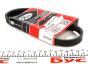 Ремень генератора Fiat Ducato/Peugeot Boxer 2.2JTD/HDi 06-, фото 3 - интернет-магазин Auto-Mechanic