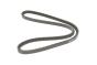 Ремінь генератора VW T4 2.4D (13x1125), фото 1 - інтерент-магазин Auto-Mechanic