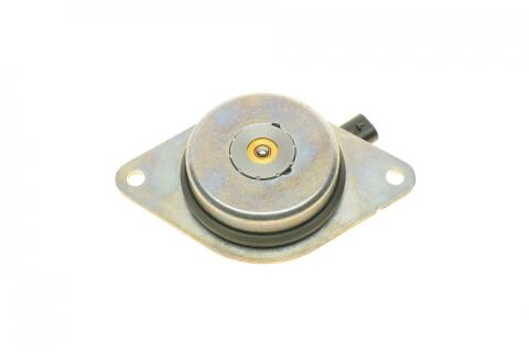 Комплект цепи ГРМ Opel Astra J/Corsa D/Chevrolet Aveo 1.2-1.4 09-