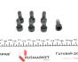 Демпфер зчеплення Renault Megane II/Scenic II, 2.0 16V, 03-09, F4R, фото 6 - интернет-магазин Auto-Mechanic