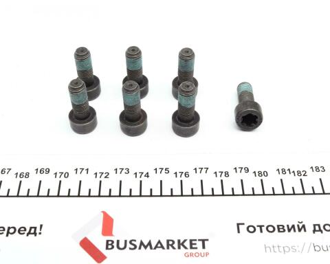 Демпфер зчеплення Renault Megane II/Scenic II, 2.0 16V, 03-09, F4R Демпфер зчеплення Renault Megane II/Scenic II, 2.0 16V, 03-09, F4R