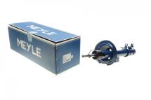 Амортизатор (передній) Fiat Sedici/Suzuki SX4 1.5-2.0D 06- (L)