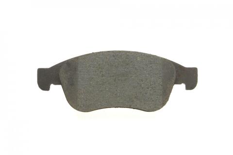 Колодки гальмівні (передні) Renault Megane III/Scenic III 08-