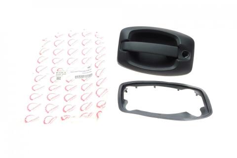 Ручка дверей (передніх) (L) Citroen Jumper/Fiat Ducato/Peugeot Boxer 06-