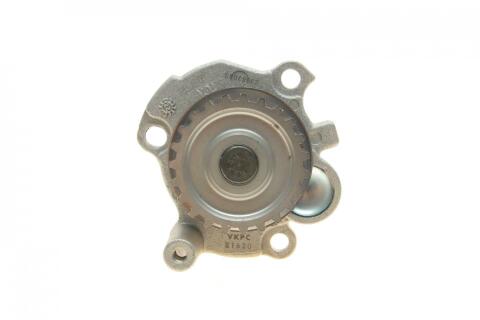 Комплект ГРМ + помпа Skoda Fabia/Octavia/VW Caddy/Golf/Passat/T5 2.0/2.4D 99- (23x138z)(VKPC 81620) Комплект ГРМ + помпа Skoda Fabia/Octavia/VW Caddy/Golf/Passat/T5 2.0/2.4D 99- (23x138z)(VKPC 81620)