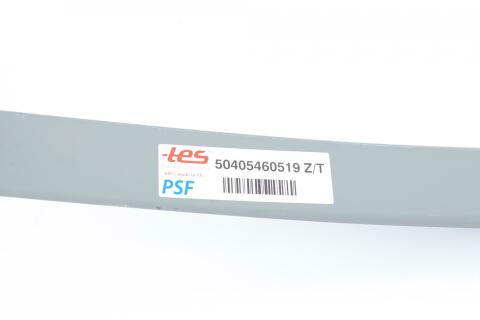 Ресора задня коренева Iveco Daily III 99-07, (1/24mm) (80/750/750)