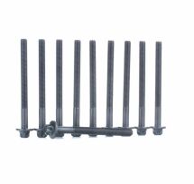 Болти головки блоку Master/Trafic 2.5dCi 00- (к-кт)