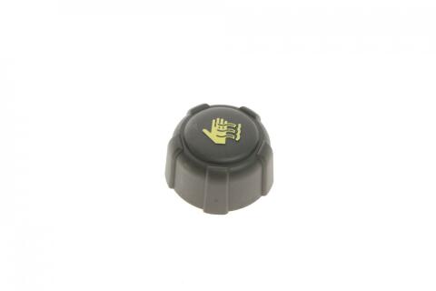 Бачок розширювальний Renault Kangoo 97- Бачок розширювальний Renault Kangoo 97-