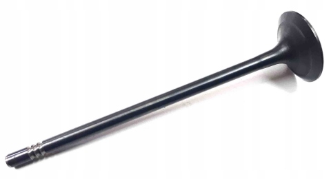 Клапан (впуск/випуск) VW Caddy IV/Golf VI/Touran 1.2TSI 15- (12 к-кт) (OE VAG)