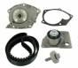 Комплект ГРМ + помпа Nissan Primera 1.9dCi 02-/Renault Scenic/Megane 1.9dCi 03-(26x133z), фото 1 - інтерент-магазин Auto-Mechanic