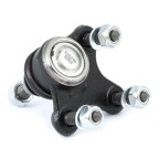 Опора кульова (передня/знизу/R) Audi A3/Seat/Skoda Octavia/SuperB/VW Caddy/Golf/Touran/Tiguan 03- Опора кульова (передня/знизу/R) Audi A3/Seat/Skoda Octavia/SuperB/VW Caddy/Golf/Touran/Tiguan 03-