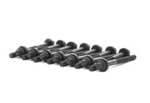 Болти головки блоку BMW 3-7 (E34/E39/E46E60/E61) X3/X5/Omega B 2.5TDI 99- (к-кт)