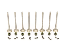 Клапан випускний Renault Megane IV/Scenic IV 1.6dCi 15- (комплект)