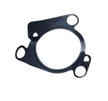 Прокладка дроссельної заслінки Renault Megane II 2.0 16V