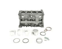 Блок циліндрів Renault Kangoo I 1.4 (K7J xxx) + поршні 4 шт. + поршневі кільця