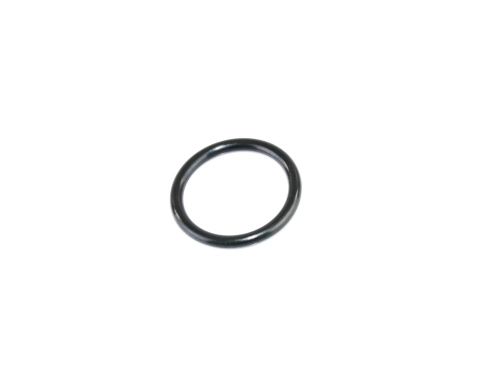 Уплотнительное кольцо патрубка охлажденя / термостата 2.2 dCi + 2.5 dCi