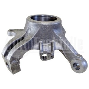 Кулак поворотний (цапфа) Renault Master 98-06 (d=22mm) (R)
