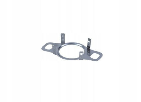 Прокладка охолоджувача EGR Renault Kangoo I + II / Dokker / Lodgy 1.5dCi (K9K 8xx) Прокладка охолоджувача EGR Renault Kangoo I + II / Dokker / Lodgy 1.5dCi (K9K 8xx)