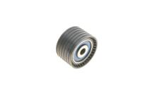 Ролик ГРМ Renault Kangoo 1.6i/Megane 1.4i/1.6i 16V 01- (паразитний) (54х32)