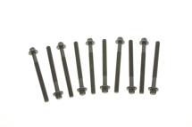 Болти головки (к-кт 10шт.) Renault Kangoo 1.5dCi, K9K Болти головки (к-кт 10шт.) Renault Kangoo 1.5dCi, K9K