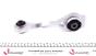 Подушка двигуна Renault Kangoo + Nissan Kubistar 97->08 1.9dCi (задня вісімка), фото 5 - інтерент-магазин Auto-Mechanic