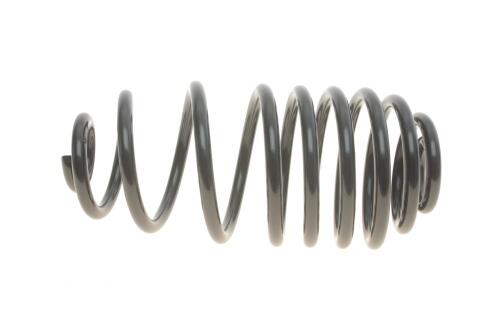 Пружина (задняя) Renault Kangoo 1.5dCi/1.6 08- (вен/фургон) (осн: Kangoo/Kangoo Express/Grand Kangoo)