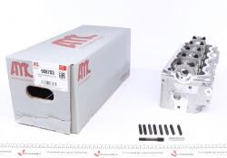 Головка блоку циліндрів VW Caddy 1.9SDI/TDI 96-04 (SSV/AGR/AHF/ALH)