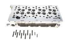 Головка блоку циліндрів Audi A3/A4/Q5 2.0 TDI 09- Головка блоку циліндрів Audi A3/A4/Q5 2.0 TDI 09-