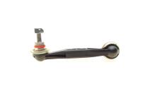 Тяга стабілізатора (заднього) (R) BMW 1 (F20/F21)/3 (F30/F31)/X1 11- (Пластик) Тяга стабілізатора (заднього) (R) BMW 1 (F20/F21)/3 (F30/F31)/X1 11- (Пластик)