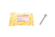 Болт кріплення сайлентблока (переднього/внутрішнього) (M10x76) VW Caddy III 04-