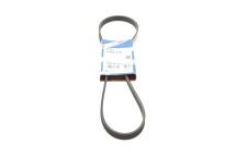 Ремінь генератора поліклиновий Fiat Scudo 2.0 JTD 99-06 (5PK970)