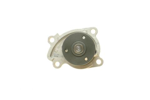 Помпа води Renault Clio/Scenic/Megane/Kangoo/Nissan Qashqai/Juke 0.9-1.2-1.4TCe/1.6Sce 09-