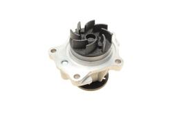 Насос воды Ford Escort VI/VII/Scorpio I/II/Sierra II 2.0i/2.0 16V/RS2000 87-06 (R/B) (8 лоп.)