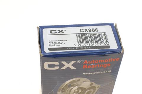 Подшипник ступицы (задней) Renault Megane II/Scenic II (25x55x48)