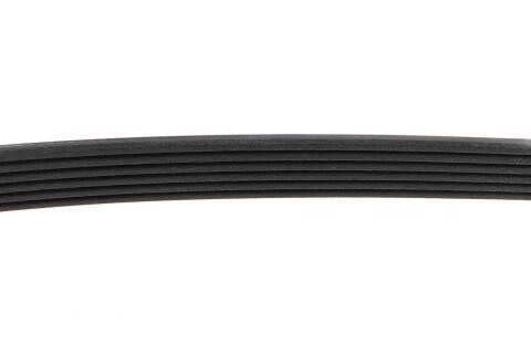 Ремінь генератора Citroen Berlingo/Fiat Ducato 1.9 D/TD 96-03