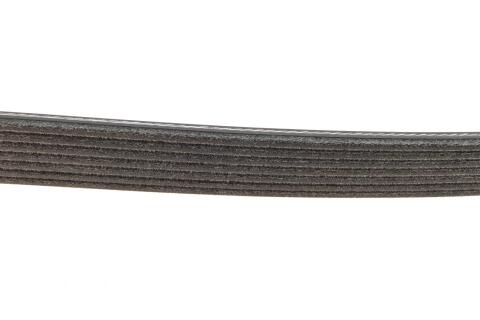 Ремінь генератора Ford Transit 2.4 TDCI 06-