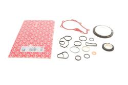 Комплект прокладок (нижний) Citroen Berlingo/Jumpy/Peugeot Expert/Partner 1.6 HDi 07-